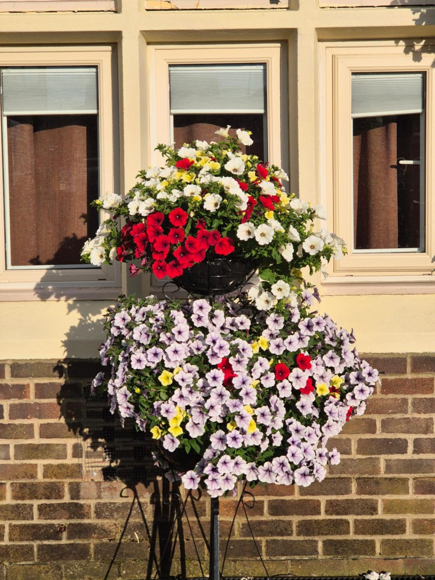 Dorset Arms Hotel والسيند المظهر الخارجي الصورة