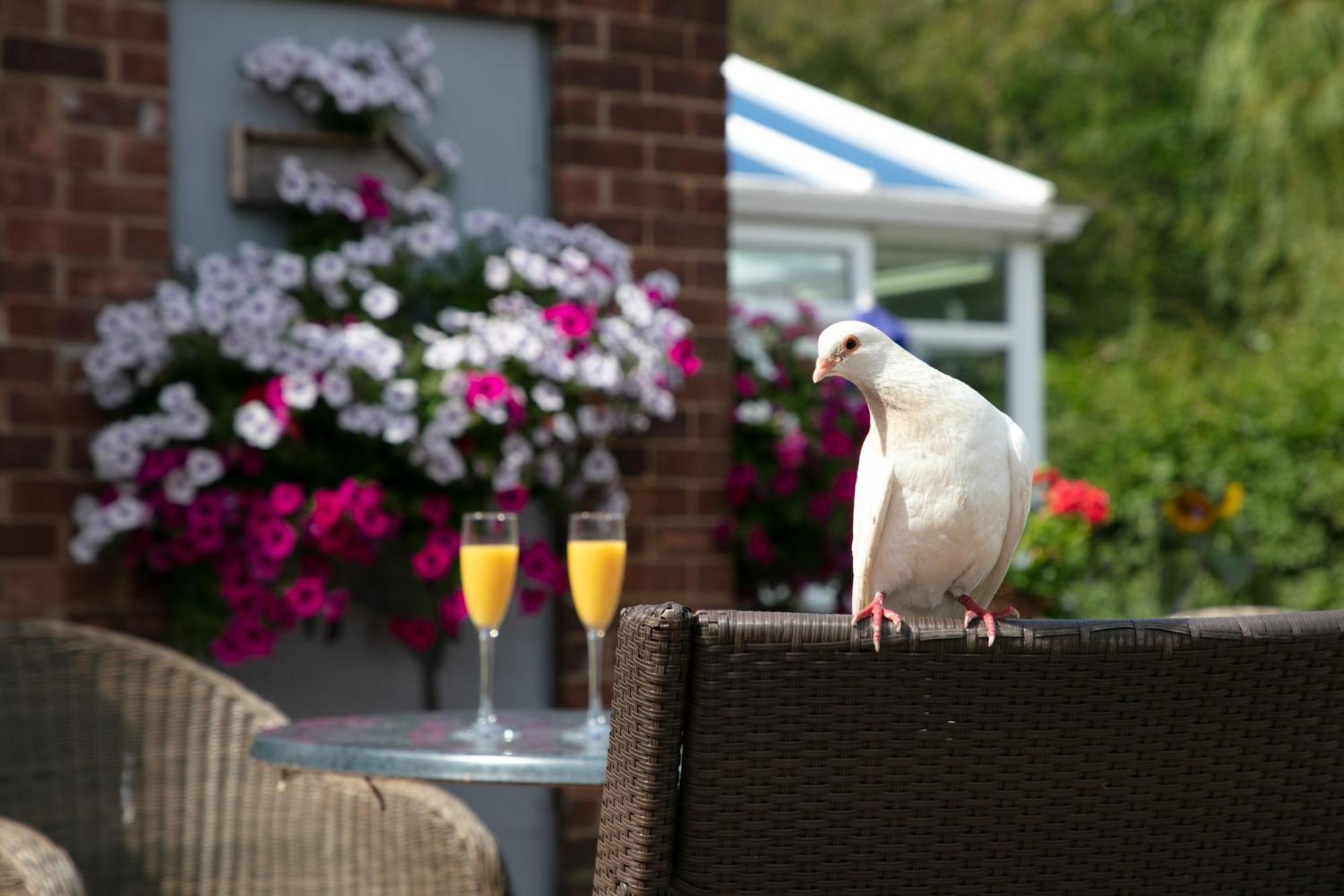 Dorset Arms Hotel والسيند المظهر الخارجي الصورة